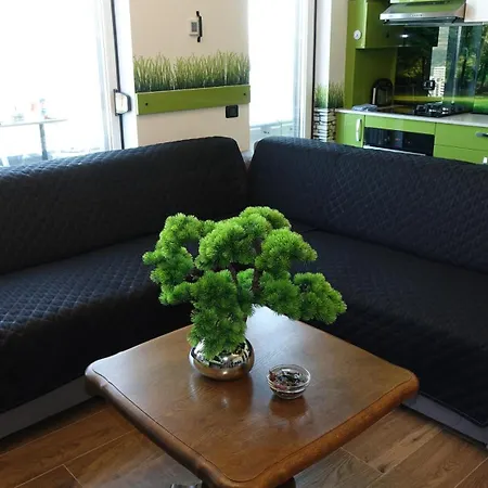 Lägenhet Penthouse Cuibul Vulturilor